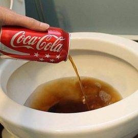 Wie man mit etwas Coca Cola Kalkablagerungen aus der Toilette entfernt: ein effektiver Reinigungstrick