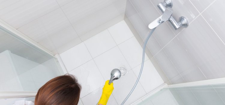 Verwenden Sie es nach dem Mittagessen zum Reinigen der Duschkabine. Die Dusche wird wie neu sein Verwenden Sie es nach dem Mittagessen zum Reinigen der Duschkabine. Die Dusche wird wie neu sein