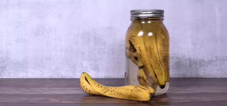 Bananenschalen und Wasser mit Backpulver: Warum wird diese Mischung empfohlen und wozu dient sie? Bananenschalen und Wasser mit Backpulver: Warum wird diese Mischung empfohlen und wozu dient sie?