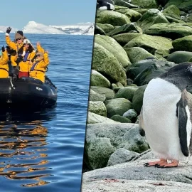 So sieht eine Expedition in die Antarktis mit dem Schiff aus. „Die Wellen können bis zu 20 Meter hoch werden, es ist ein unglaubliches Abenteuer.“