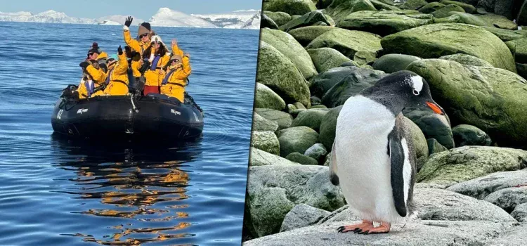 So sieht eine Expedition in die Antarktis mit dem Schiff aus. „Die Wellen können bis zu 20 Meter hoch werden, es ist ein unglaubliches Abenteuer.“ So sieht eine Expedition in die Antarktis mit dem Schiff aus. „Die Wellen können bis zu 20 Meter hoch werden, es ist ein unglaubliches Abenteuer.“