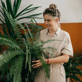 Ich gieße und befeuchte, und mein Farn erwacht zu neuem Leben! Die braunen Blätter werden wieder grün, und selbst im Winter sieht er schön aus. Pflege eines Farns im Topf