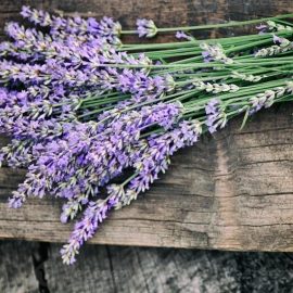 Lavendelzweige am Hauseingang platzieren: Wozu dient das und warum wird es empfohlen?