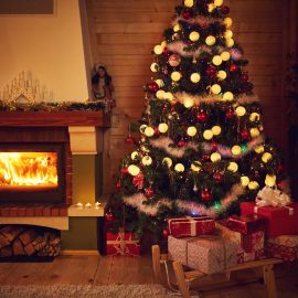 Die Deutschen stellen keine Weihnachtsbäume mehr auf, weil sie nicht mehr in ihren Häusern wohnen. So gibt es nun… Familien, Unternehmen und jährlich Tausende von Weihnachtsbäumen. Wie wäre es, wenn man sie mieten würde?