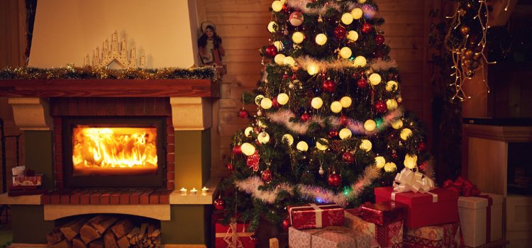 Die Deutschen stellen keine Weihnachtsbäume mehr auf, weil sie nicht mehr in ihren Häusern wohnen. So gibt es nun… Familien, Unternehmen und jährlich Tausende von Weihnachtsbäumen. Wie wäre es, wenn man sie mieten würde?