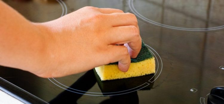 Küchensponge: Hier ist die beste Methode zur Desinfektion, laut einem Virologen Küchensponge: Hier ist die beste Methode zur Desinfektion, laut einem Virologen